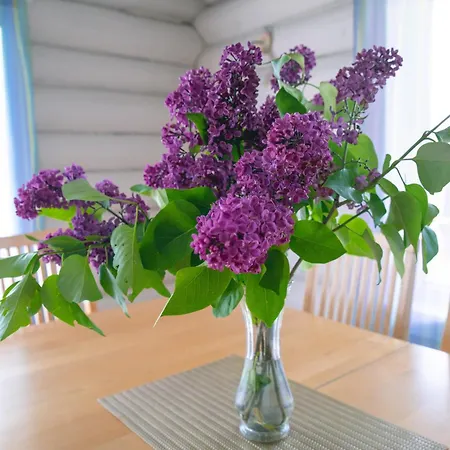 Vakantiehuis Baurine Puhkemaja *