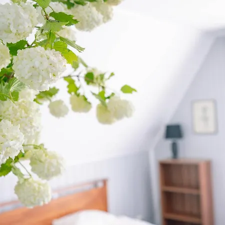 Baurine Puhkemaja Vakantiehuis