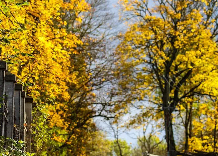 Baurine Puhkemaja * Aseri